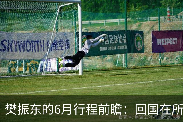 樊振东的6月行程前瞻：回国在所难免，他会与王励勤见面吗？